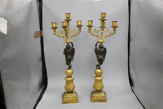 A pair of 19th century French bronze and ormolu candelabra, with scrolling branches, cherub stems and foliate scroll bases, height 58cm